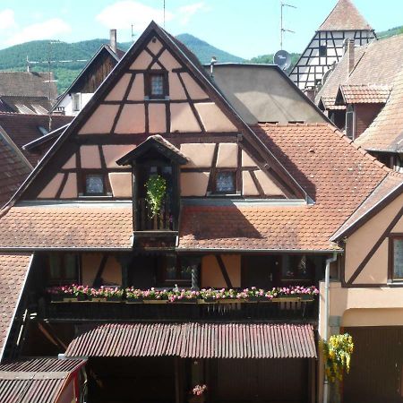 Апартаменты La Cour Des Meuniers - Le Froment Et L'Epeautre Кайзерсберг Экстерьер фото